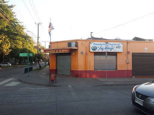 LAS DELICIAS PANADERIA Y PASTELERIA