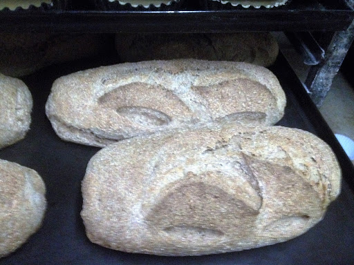 fenix pinto panaderia