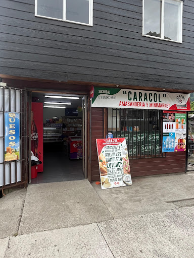 Sucursal Amasanderia el caracol