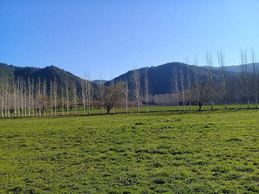 Las Cabras