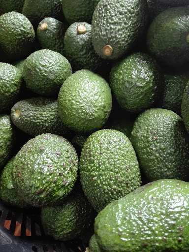 La pollita